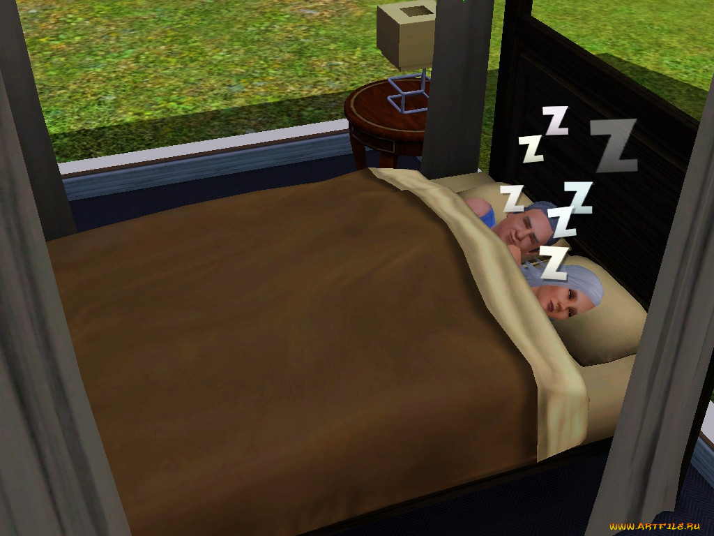 , , the, sims